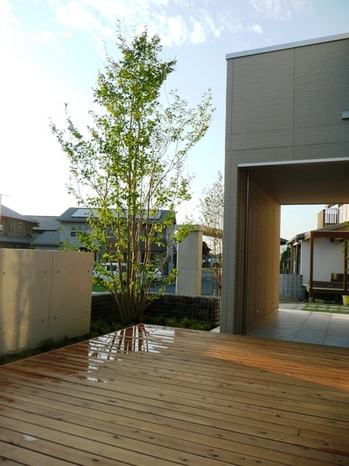P1020317-1.JPG