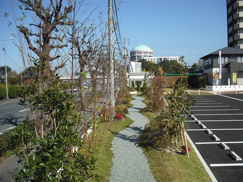 DSCF0233_R.jpg